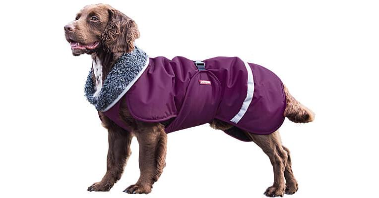 Pomppa dog 2024 coats australia